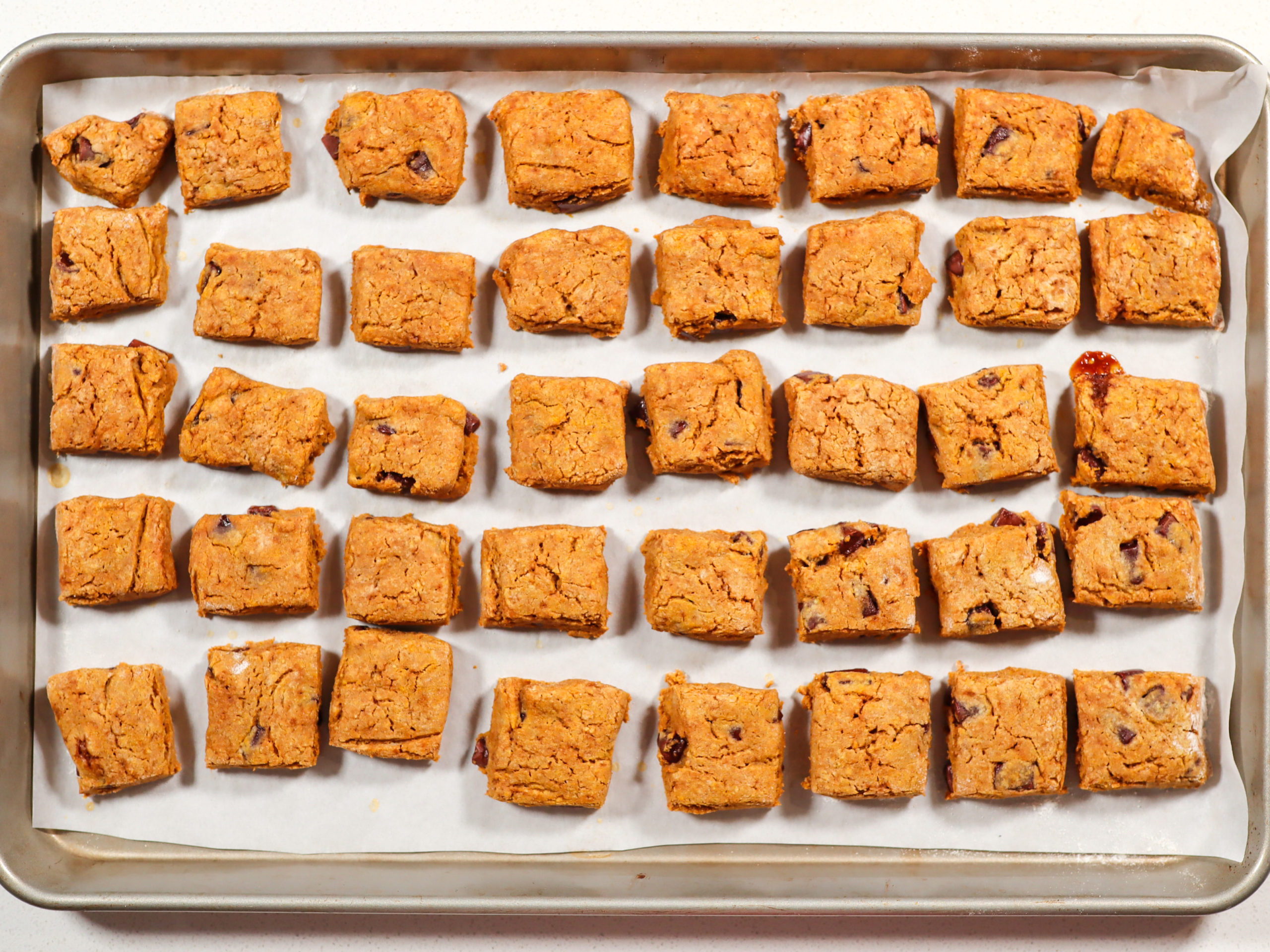 Pumpkin Spice Chocolate Chip Mini Scones