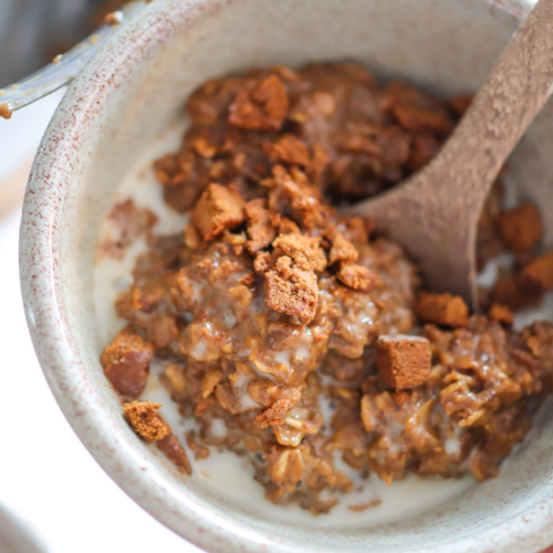 hand holding bowl of oatmeal